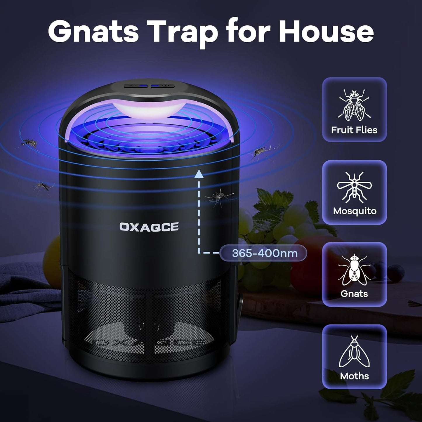 Fruit Fly Traps Indoors, Gnat Traps for House, Fly Traps, Bug Zapper Indoor, Insect Traps with 10 Sticky Glue Boards, Black